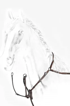 Equiline Träns & Pannband|Equiline-- Anatomiskt Set