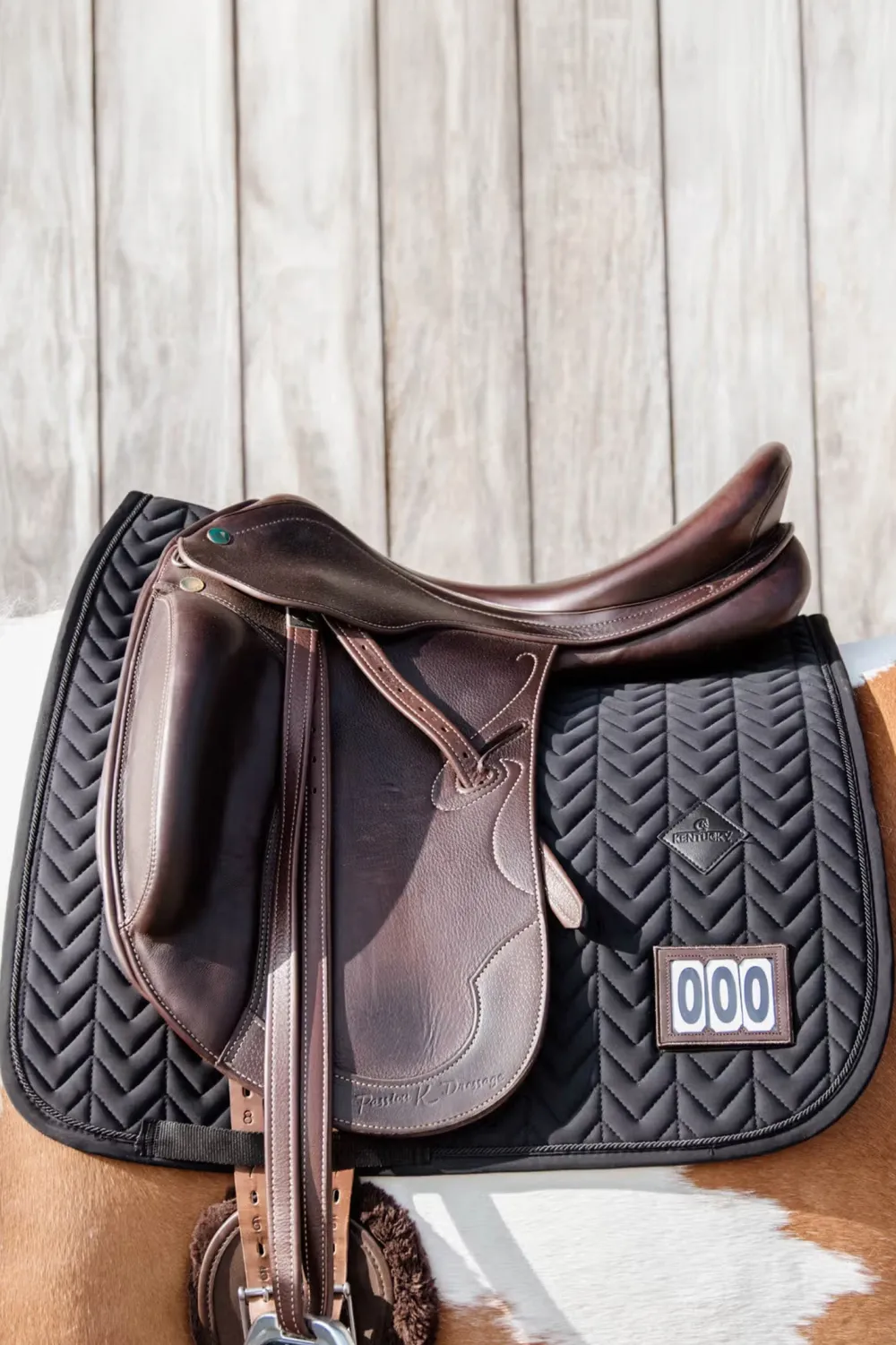 Kentucky Horsewear Schabrak & Huvor-Fiskben Tävlingsschabrak Svart