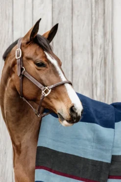 Kentucky Horsewear Hästtäcken & Flughuvor|Kentucky Horsewear-Fleecefilt Stripes 210*200 Navy/Grey