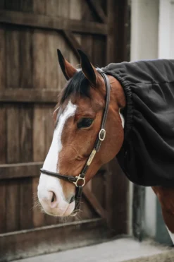 Kentucky Horsewear Hästtäcken & Flughuvor|Kentucky Horsewear-Fleecehals Svart