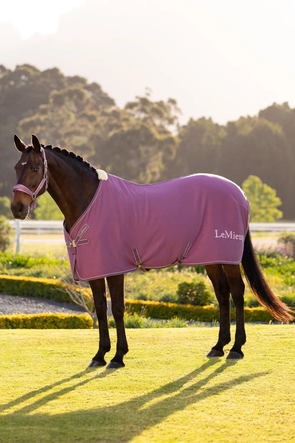 LeMieux Hästtäcken & Flughuvor|Lemieux-Fleecetäcke Kudos Bamboo Mallow
