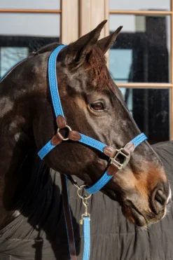 Kentucky Horsewear Grimmor & Grimskaft-Flätad Nylon Lädergrimma Ljusblå