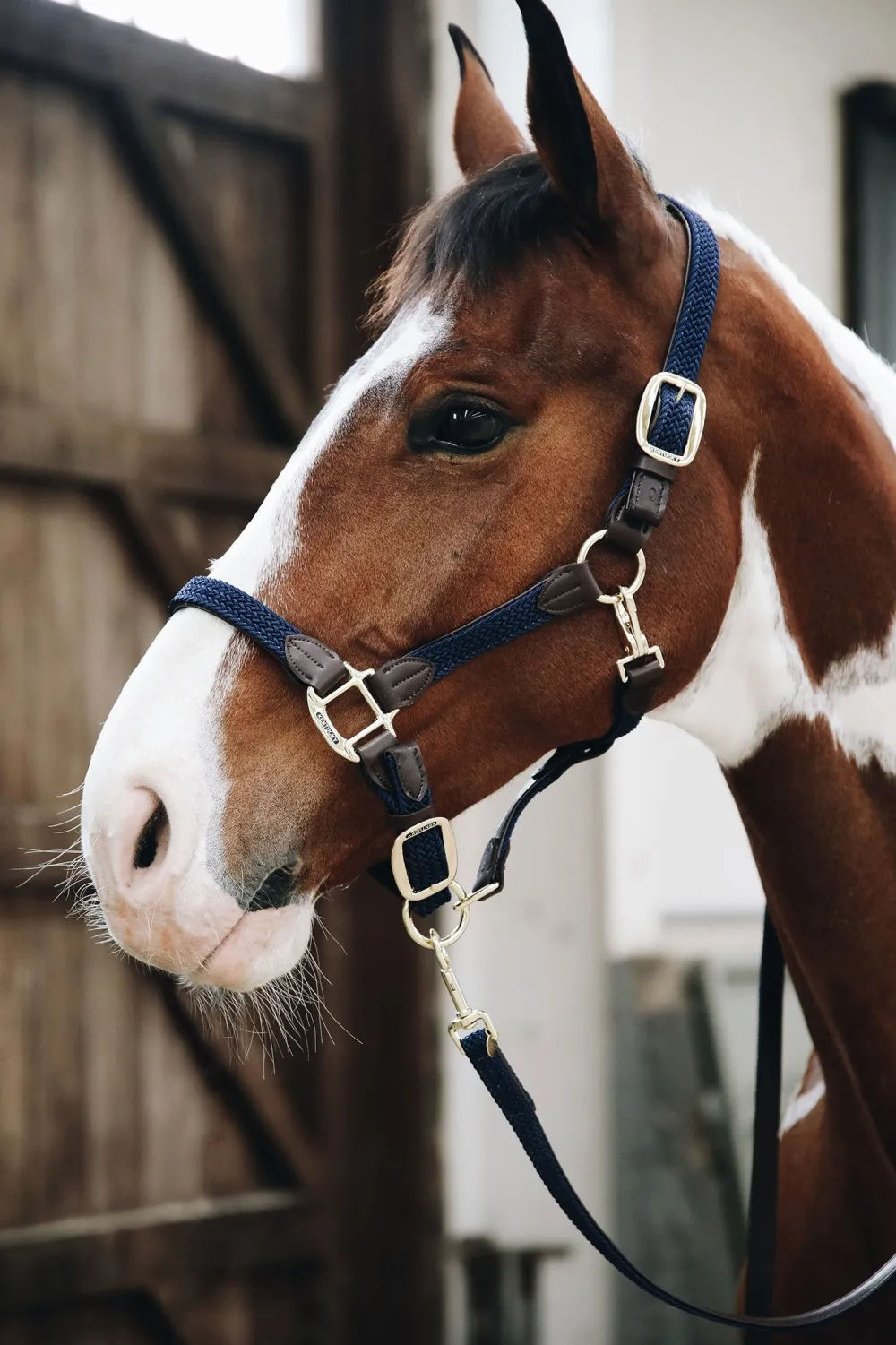 Kentucky Horsewear Kentucky Horsewear|Grimmor & Grimskaft-Flätad Nylon Lädergrimma Navy