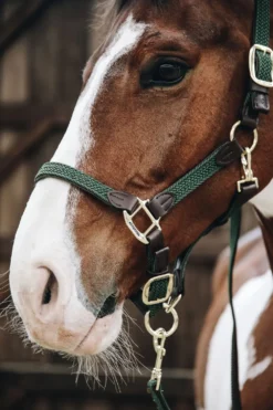 Kentucky Horsewear Kentucky Horsewear|Grimmor & Grimskaft-Flätad Nylon Lädergrimma Olivgrön