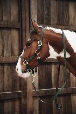 Kentucky Horsewear Kentucky Horsewear|Grimmor & Grimskaft-Flätad Nylon Lädergrimma Olivgrön