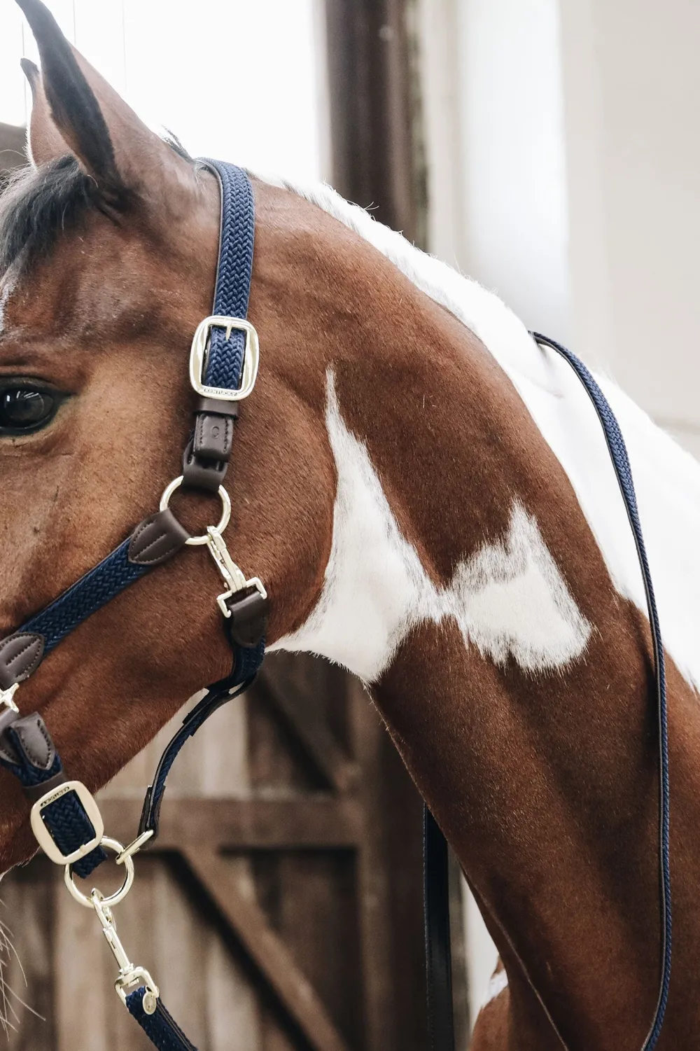 Kentucky Horsewear Kentucky Horsewear|Grimmor & Grimskaft-Flätat Lädergrimskaft Navy