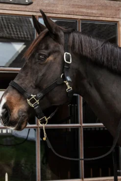 Kentucky Horsewear Kentucky Horsewear|Grimmor & Grimskaft-Flätat Lädergrimskaft Svart
