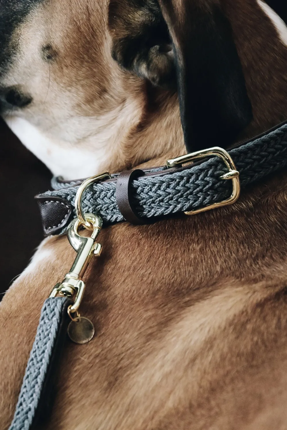 Kentucky Dogwear Kentucky Dogwear-Fätat Nyon Haband