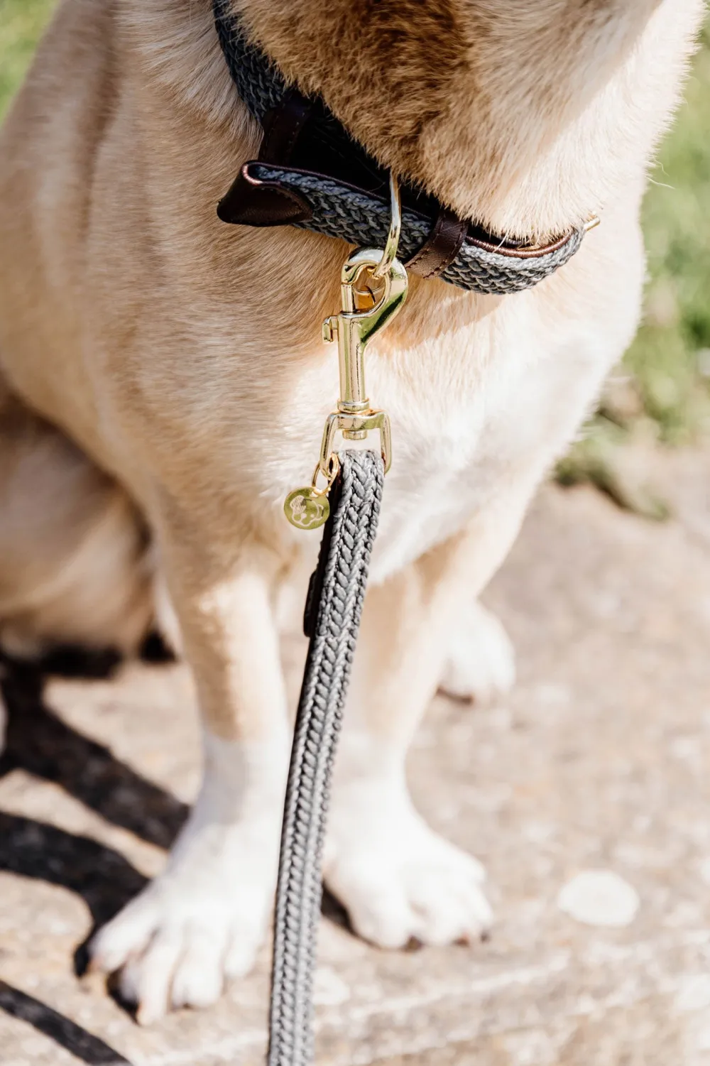 Kentucky Dogwear Kentucky Dogwear-Fätat Nyon Haband
