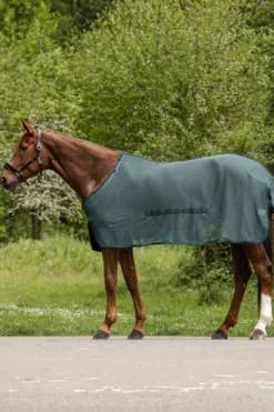 Waldhausen Hästtäcken & Flughuvor-Flugtäcke Comfort med Magplatta Pine Green