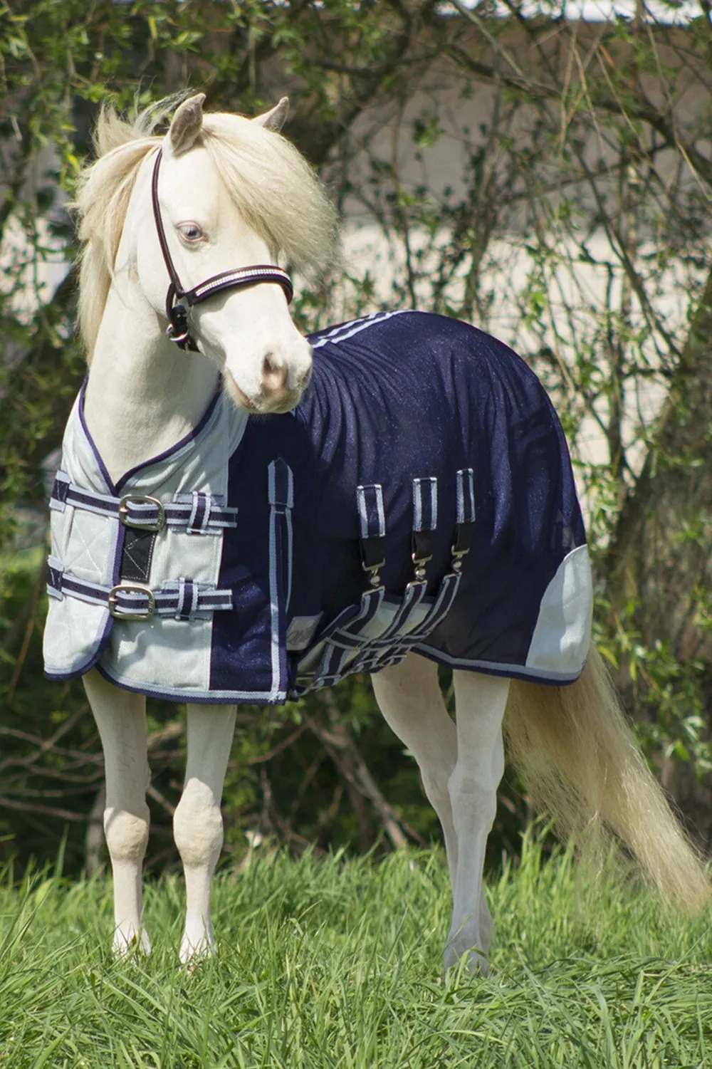QHP Qhp|Flugskydd-Flugtäcke Falabella Blå