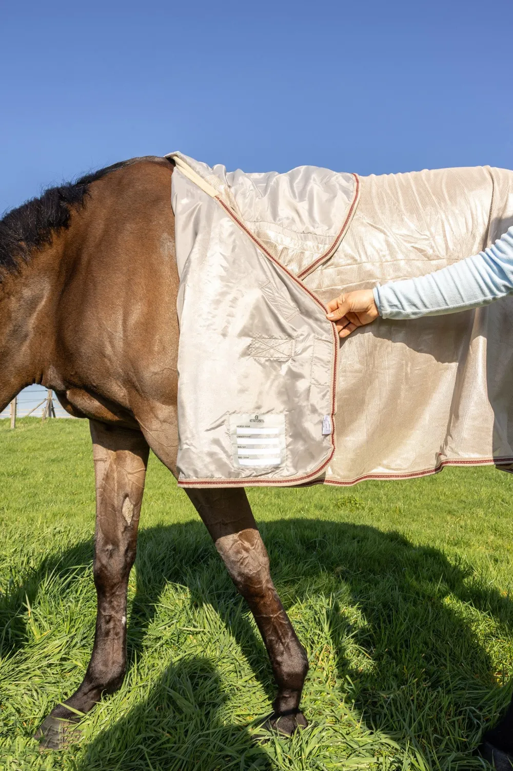 Kentucky Horsewear Kentucky Horsewear|Flugskydd-Flugtäcke Mesh Med Magplatta Beige