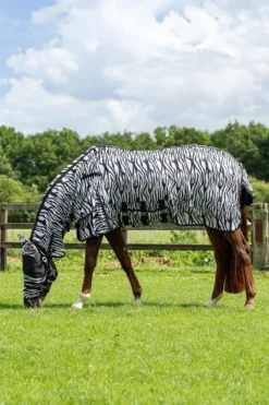 QHP Qhp|Flugskydd-Flugtäcke m Hals och Flughuva Zebra