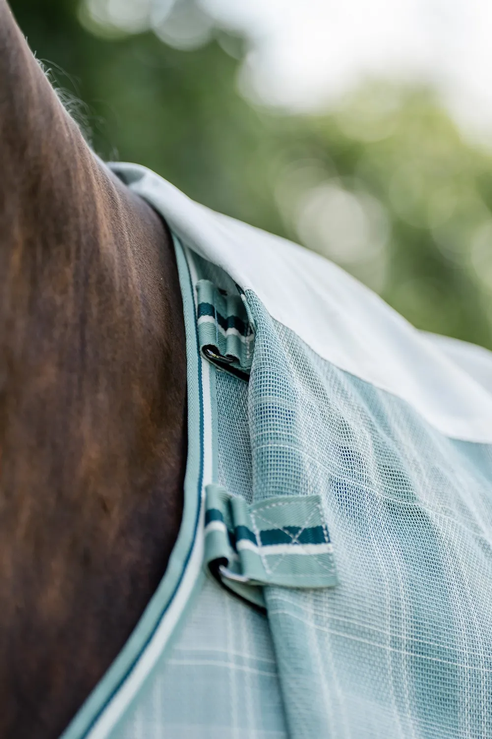Horseware Horseware|Flugskydd-Flugtäcke Newmarket m.Hals Witney Dynasty