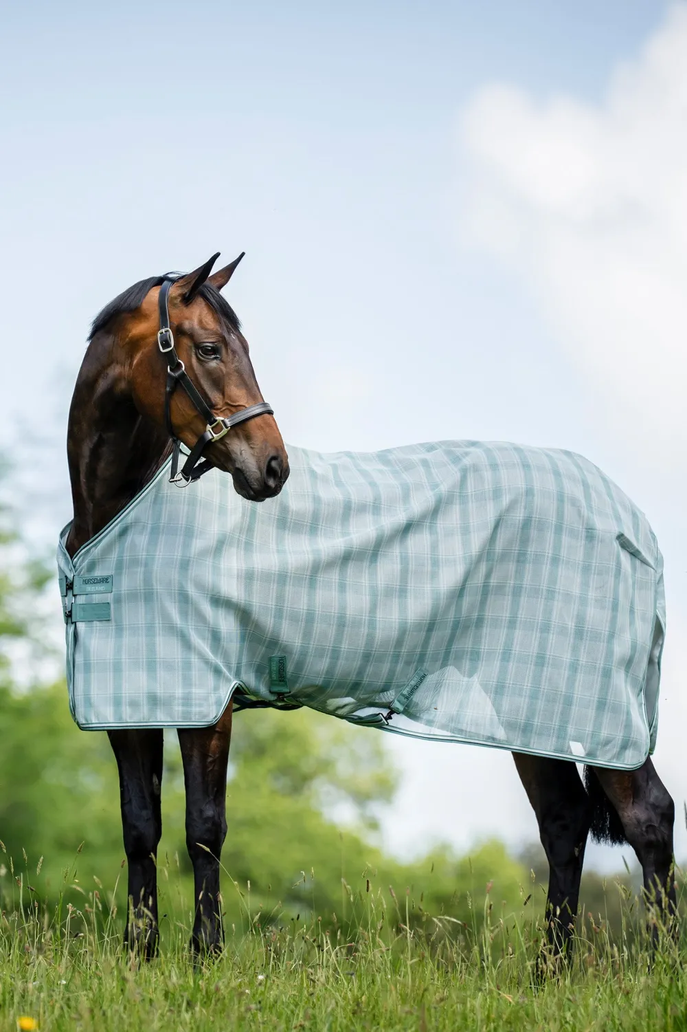 Horseware Horseware|Flugskydd-Flugtäcke Newmarket m.Hals Witney Dynasty