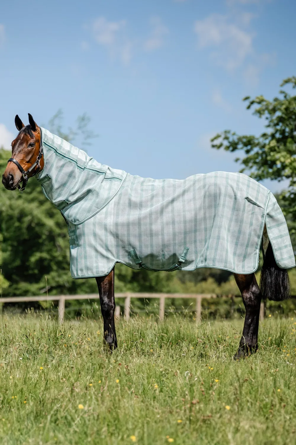 Horseware Horseware|Flugskydd-Flugtäcke Newmarket m.Hals Witney Dynasty