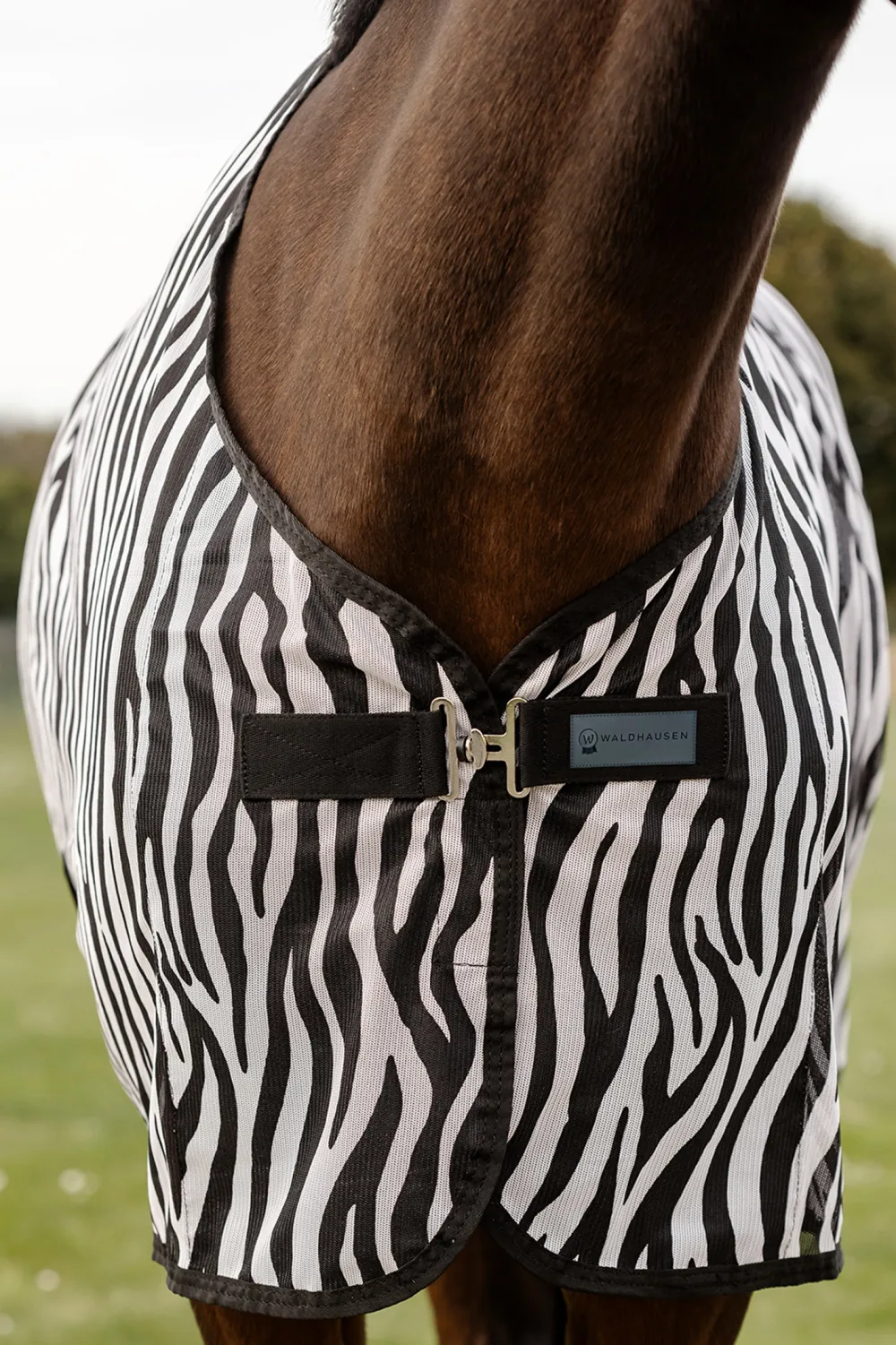 Waldhausen Hästtäcken & Flughuvor-Flugtäcke Zebra