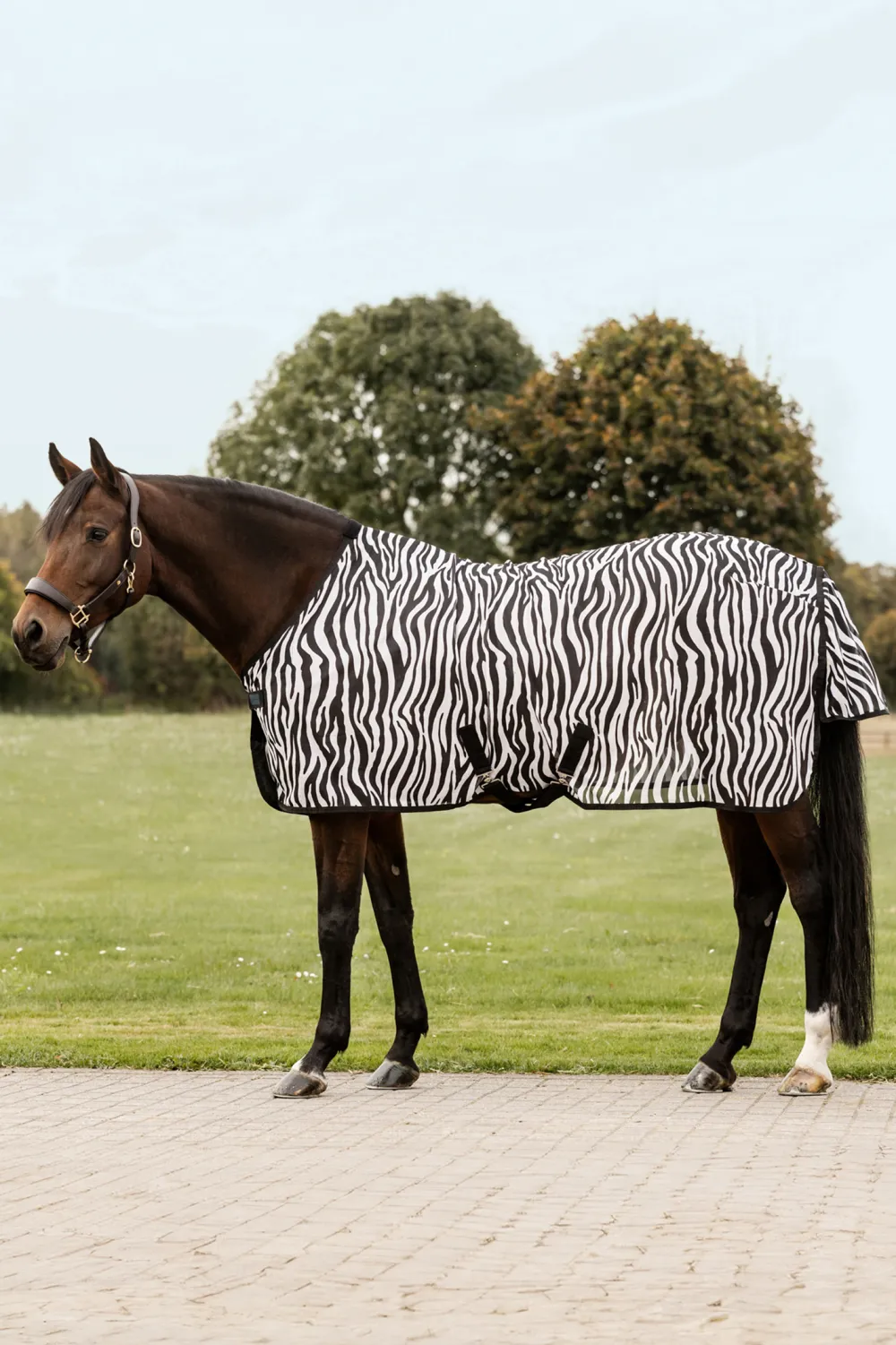 Waldhausen Hästtäcken & Flughuvor-Flugtäcke Zebra
