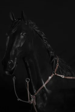 Equiline Equiline|Tyglar & Hjälptyglar-Förbygel