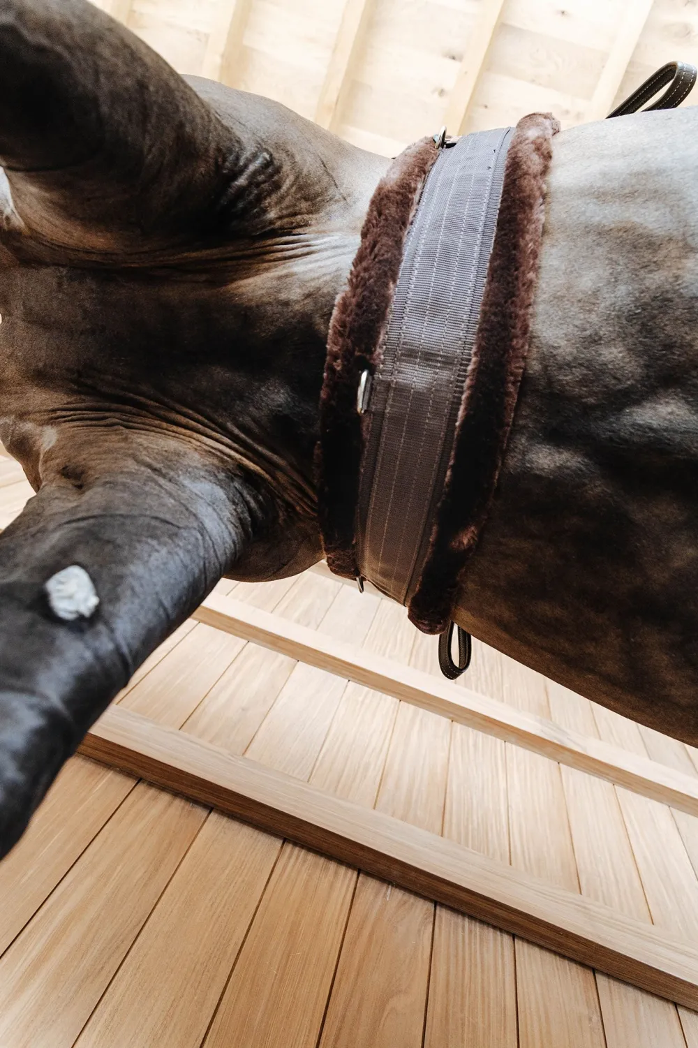 Kentucky Horsewear Sadelgjordar & Tillbehör-Fårskinnsgjord Brun/Brun