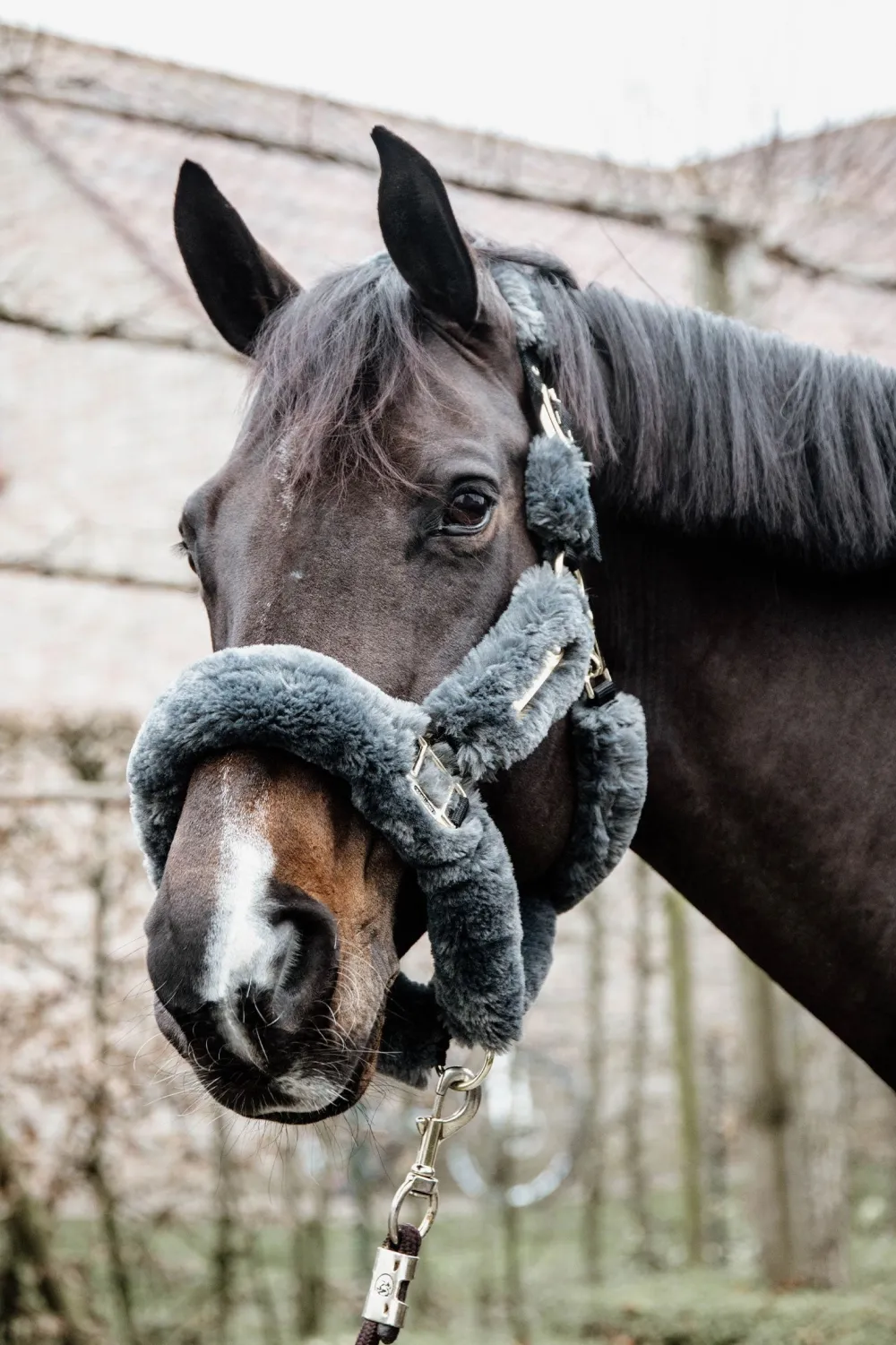 Kentucky Horsewear Grimmor & Grimskaft-Fårskinnsgrimma Grå