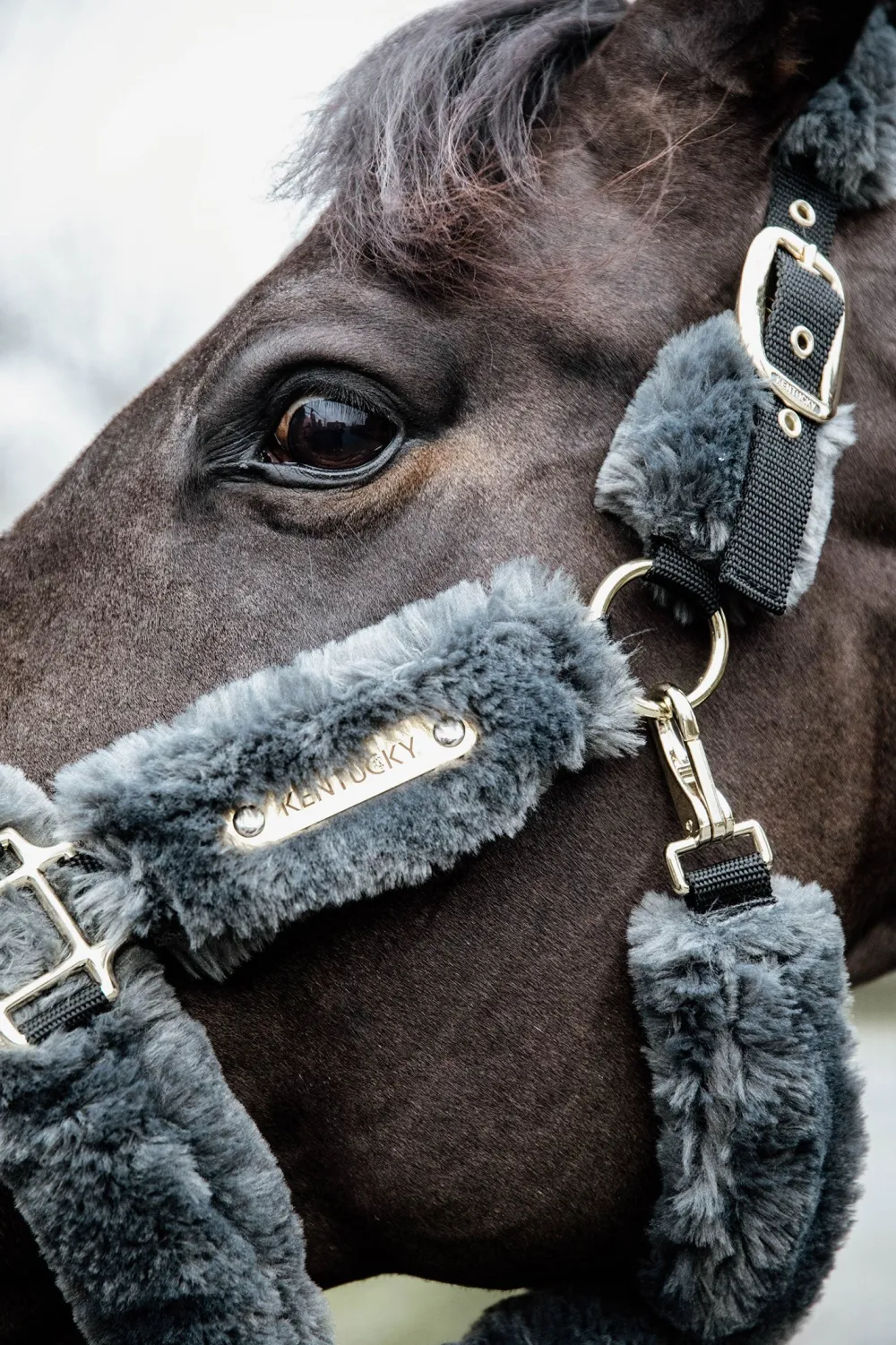 Kentucky Horsewear Grimmor & Grimskaft-Fårskinnsgrimma Grå