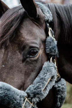 Kentucky Horsewear Grimmor & Grimskaft-Fårskinnsgrimma Grå