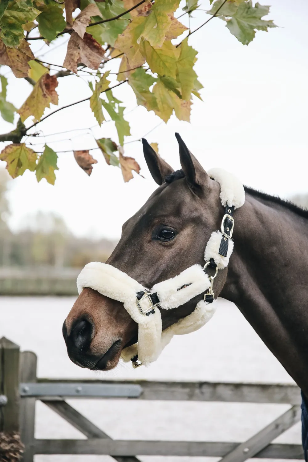Kentucky Horsewear Grimmor & Grimskaft-Fårskinnsgrimma Natur