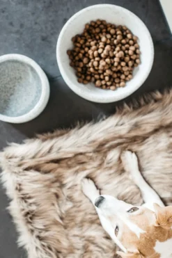 Kentucky Dogwear Kentucky Dogwear-Fuzzy Filt To Go