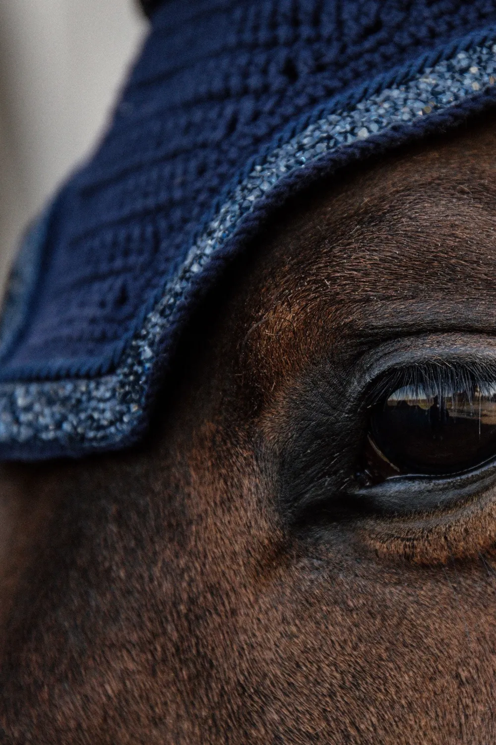 Kentucky Horsewear Kentucky Horsewear|Schabrak & Huvor-Glitter Stone Set Navy
