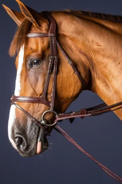 Dyón Dyón|Tyglar & Hjälptyglar-Graman Läder/Nylon 5/8" New English Brun