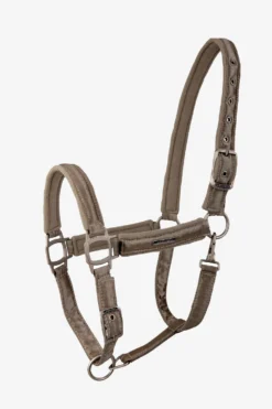 Källquist Equestrian Grimmor & Grimskaft|Källquist Equestrian-Grimma Aurora Champagne