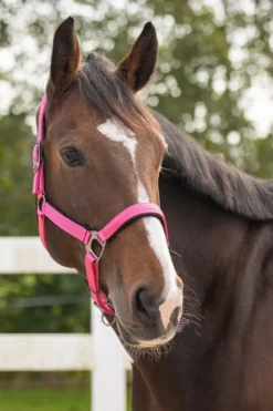 QHP Qhp|Grimmor & Grimskaft-Grimma Deluxe Rosa