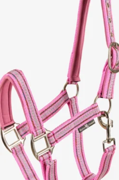 Horse Guard Grimmor & Grimskaft|Horse Guard-Grimma Hip
