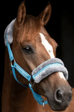 Källquist Equestrian Grimmor & Grimskaft|Källquist Equestrian-Grimma Med Päls Blå