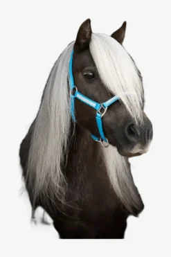 Källquist Equestrian Grimmor & Grimskaft|Källquist Equestrian-Grimma Med Stenar Turkos