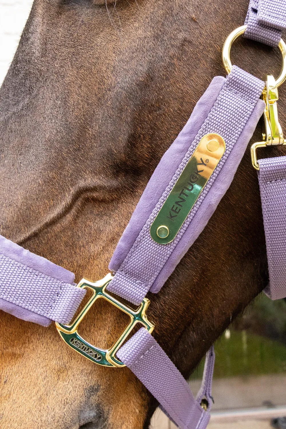 Kentucky Horsewear Kentucky Horsewear|Grimmor & Grimskaft-Grimma Sammet Lila