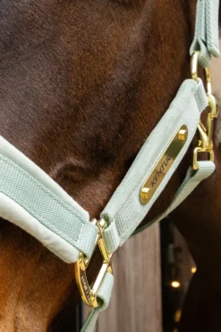 Kentucky Horsewear Kentucky Horsewear|Grimmor & Grimskaft-Grimma Sammet Mint