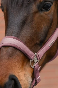 Waldhausen Grimmor & Grimskaft-Grimma Set Velvet Dusky Pink