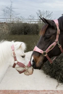 Kentucky Horsewear Kentucky Horsewear|Grimmor & Grimskaft-Grimma Velvet Enhörning Glitter Rosa