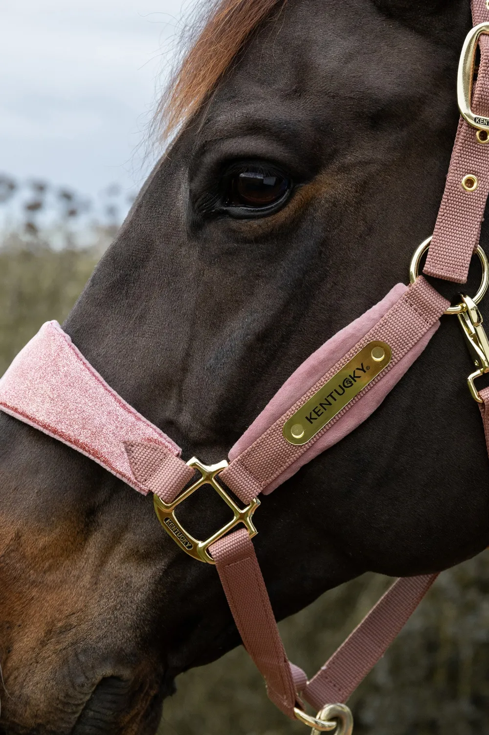 Kentucky Horsewear Kentucky Horsewear|Grimmor & Grimskaft-Grimma Velvet Enhörning Glitter Rosa