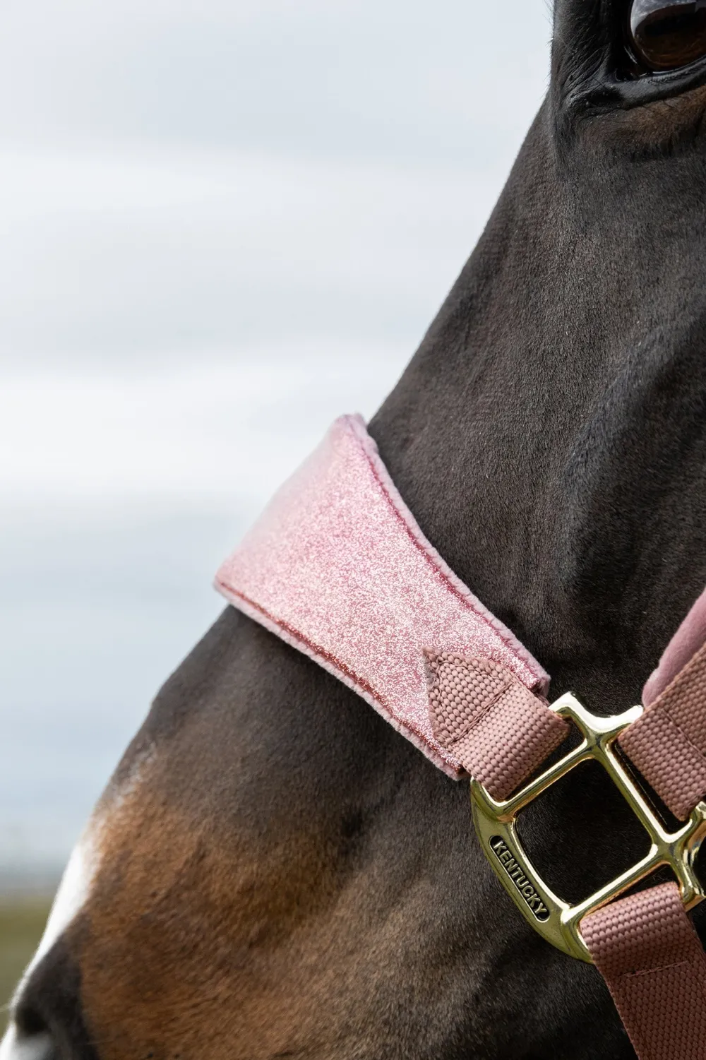 Kentucky Horsewear Kentucky Horsewear|Grimmor & Grimskaft-Grimma Velvet Enhörning Glitter Rosa