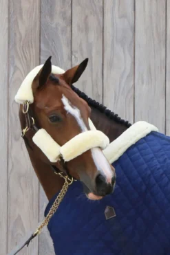Kentucky Horsewear Kentucky Horsewear|Grimmor & Grimskaft-Grimset Fårskinn 4-pack Natur
