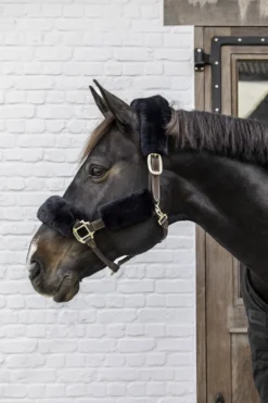 Kentucky Horsewear Grimmor & Grimskaft-Grimset Fårskinn 4-pack Svart
