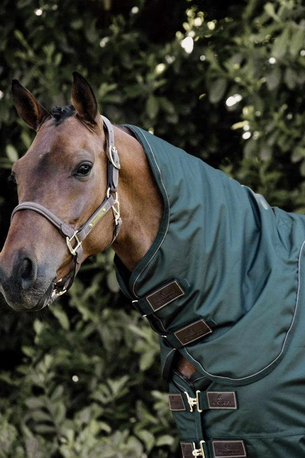 Kentucky Horsewear Hästtäcken & Flughuvor|Kentucky Horsewear-Hals Allväder Pro 150g Mörkgrön