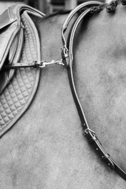 Shires Shires|Tyglar & Hjälptyglar-Halsrem med Handtag