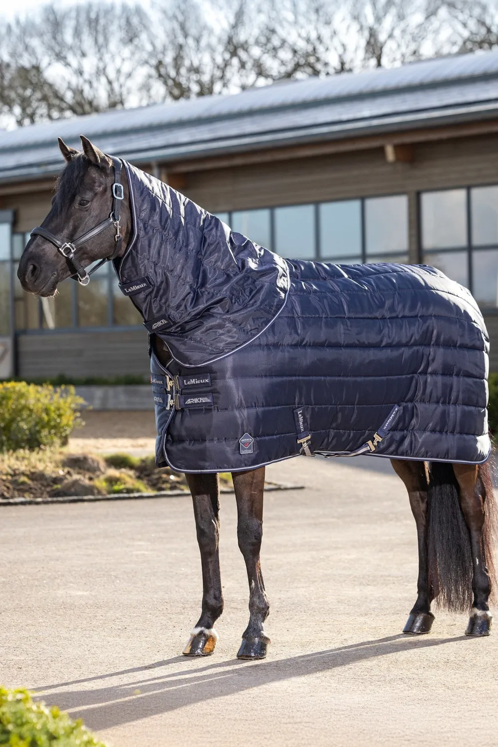 LeMieux Lemieux-Ha ti tatäcke Arika 200g Navy