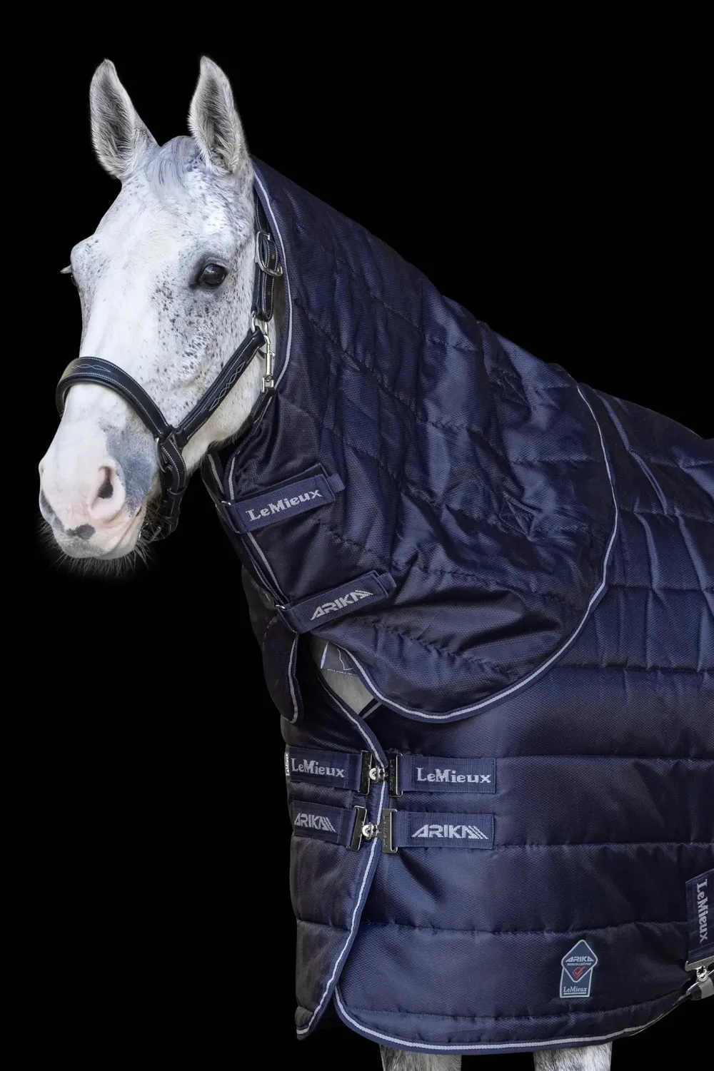 LeMieux Lemieux-Ha ti tatäcke Arika 200g Navy