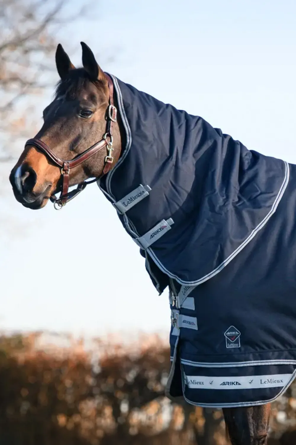 LeMieux Lemieux-Ha ti Utetäcke Arika tor-Tek 50g Navy