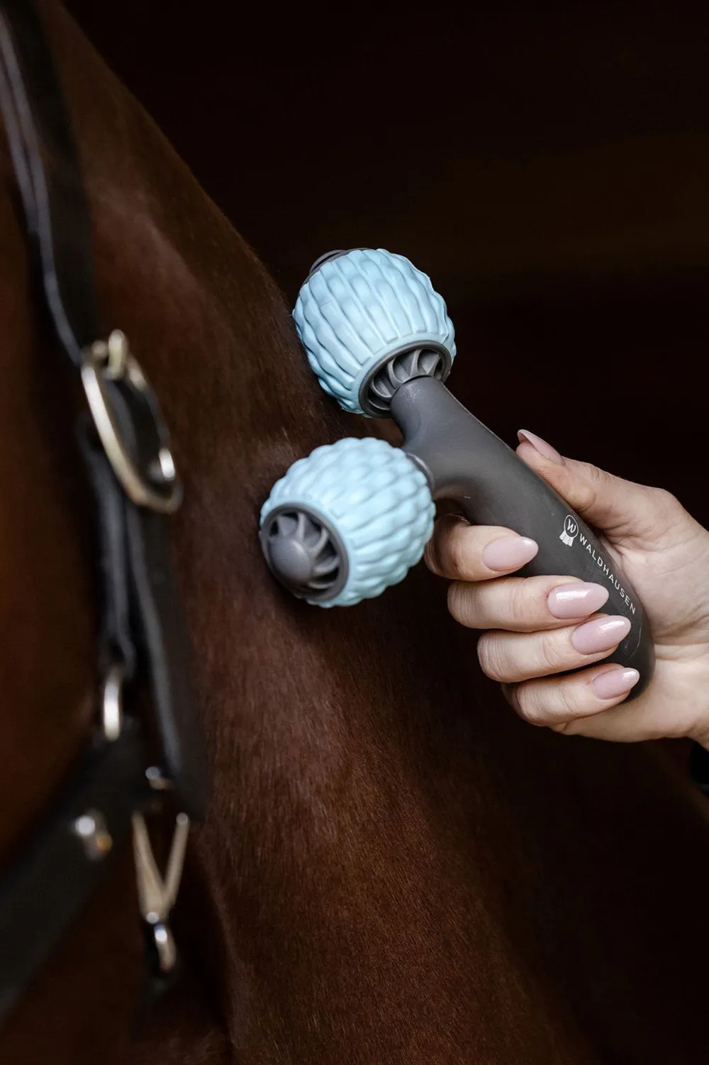 Waldhausen Ryktväskor & Ryktborstar-Health+Care Comfort Creator Massagerulle